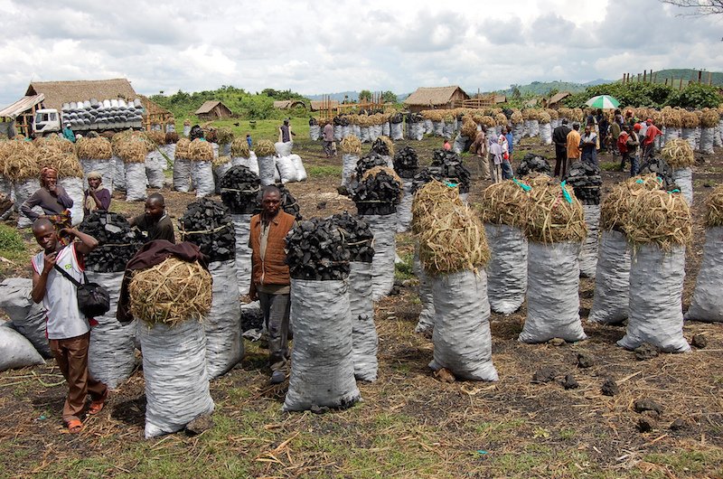 The environmental challenges of charcoal production are not limited to Somalia. The thriving charcoal trade in the Democratic Republic of Congo's Virunga National Park, pictured above, is also a driver of deforestation. (UN Environment)