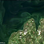 Location: Baltic Sea Credit: European Union, Copernicus Sentinel-2 imagery