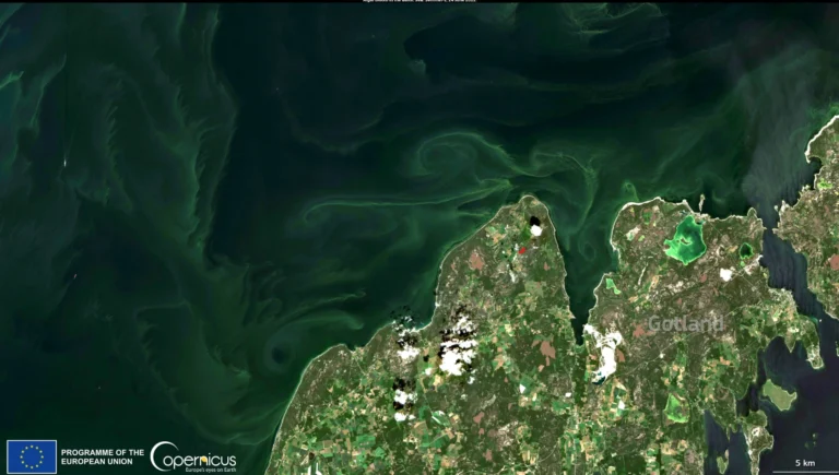 Location: Baltic Sea Credit: European Union, Copernicus Sentinel-2 imagery