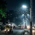 How LED Streetlights Hurt Urban Insects in India
