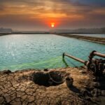 How Shrimp Farms Can Salinize India's Coastal Groundwater