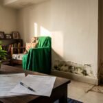 mold disclosure rules India