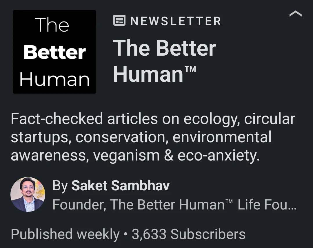 Launching LinkedIn Newsletter