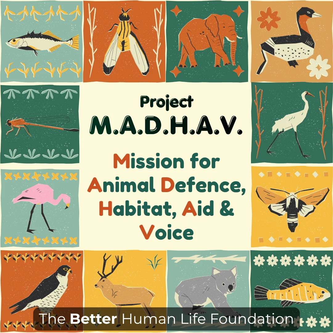 Welcome to Project M.A.D.H.A.V. (Mission for Animal Defence, Habitat, Aid & Voice)