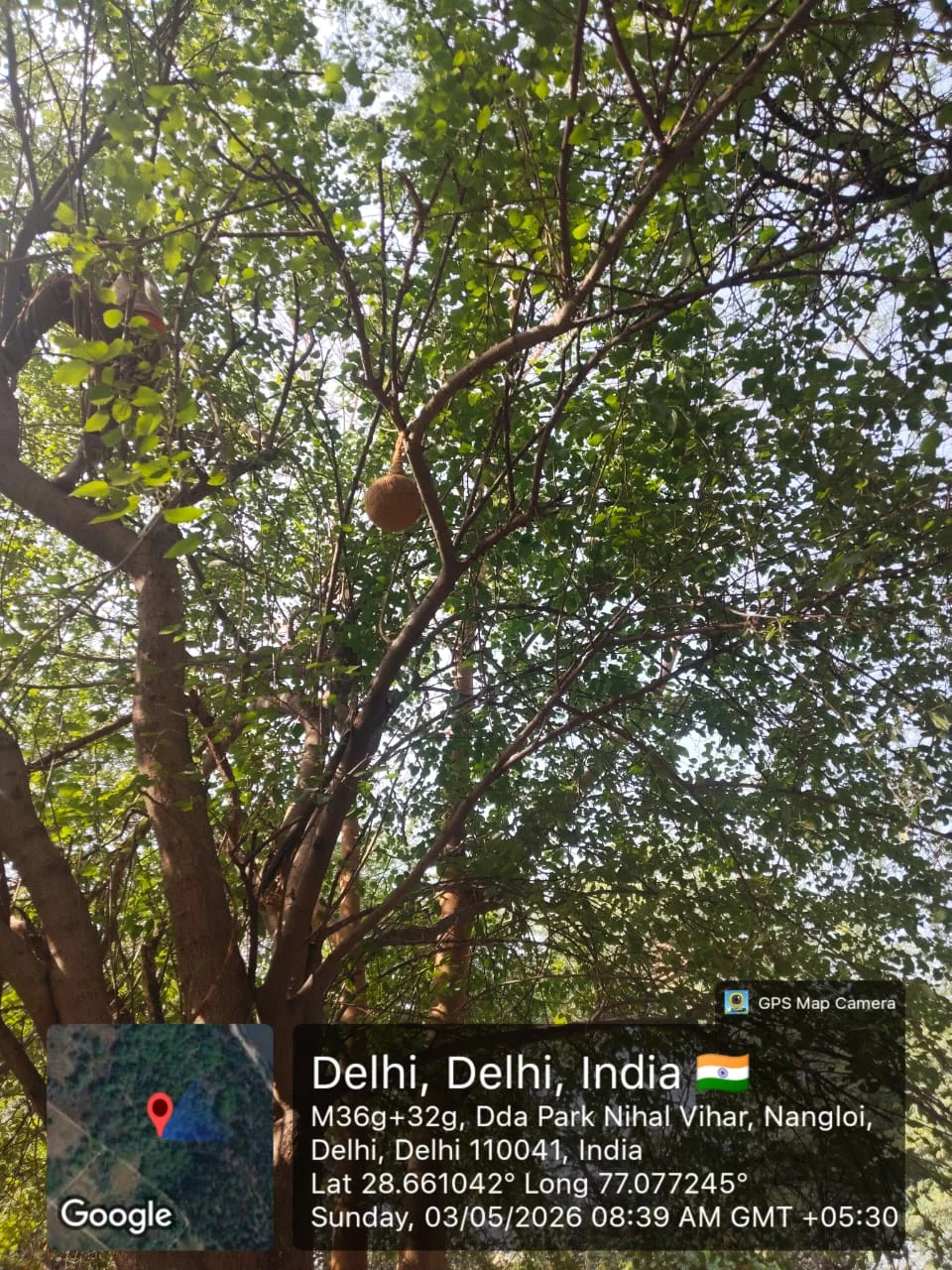 We recently crossed 250 bird nests and 50+ water pots installed across Delhi NCR out of our 1,000 goal.